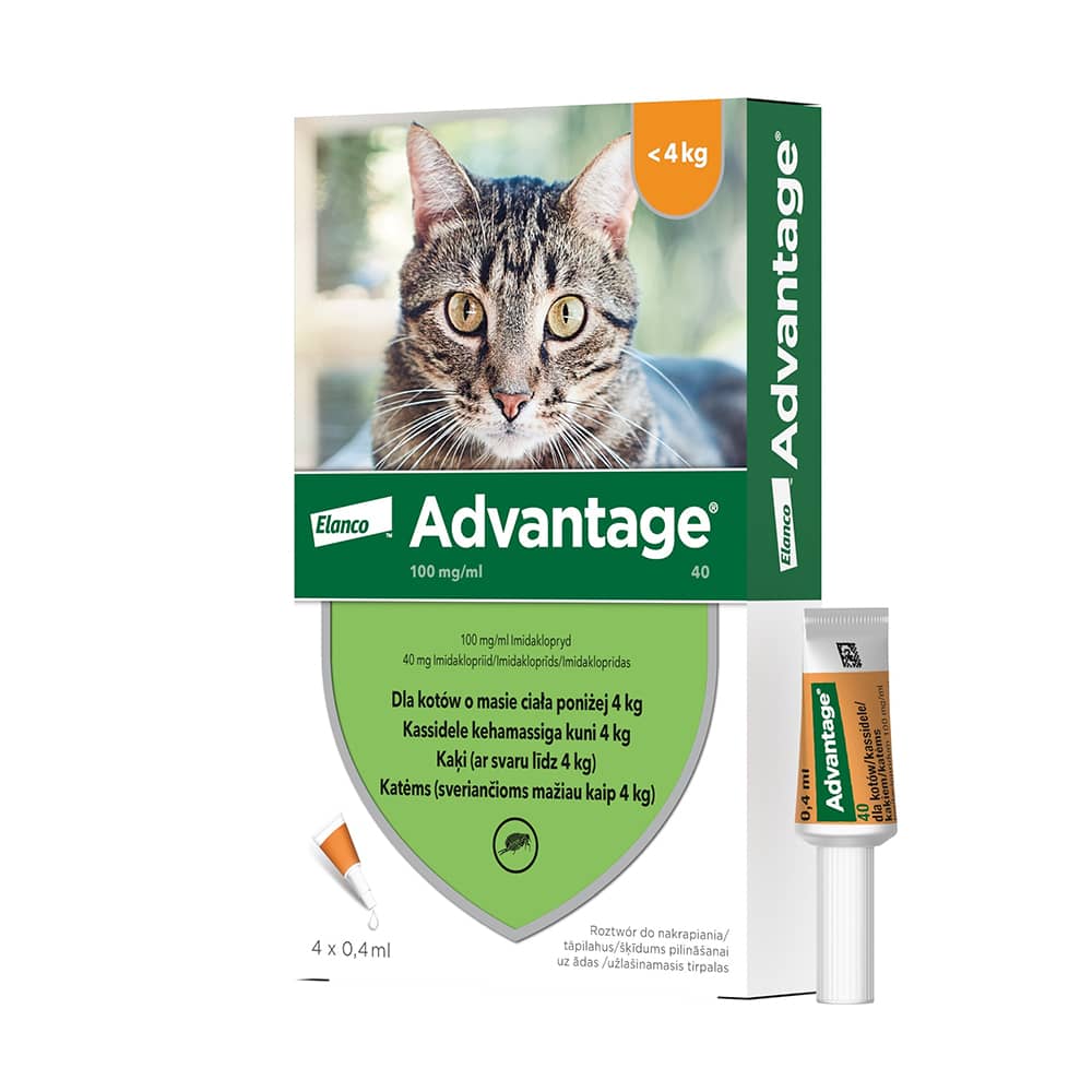 Advantage pretblusu pilieni kaķiem līdz 4 kg 40 mg N4